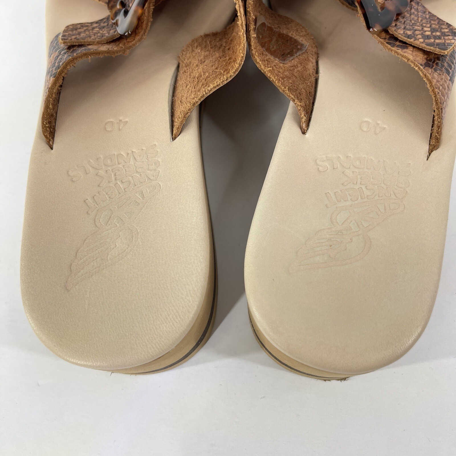 Ancient Greek Brown Thai Python Rainbow Tampa Wed… - image 9