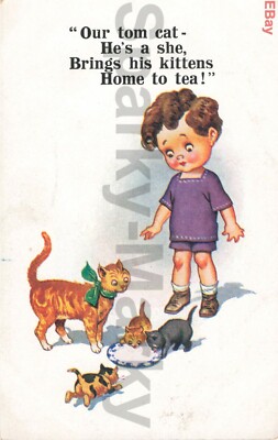 Unser Tom Cat ist eine, sie bringt seine Kätzchen nach Hause zum Tee Vintage Postkarte J02