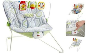 fisher price bouncer geo meadow