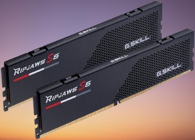 G.SKILL Ripjaws S5 Series 64GB (2 x 32GB) 288-Pin PC RAM DDR5 6000 (PC5 48000) D