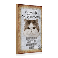 Holzschild Spruch 20X30Cm Exotische Kurzhaarkatze Katze