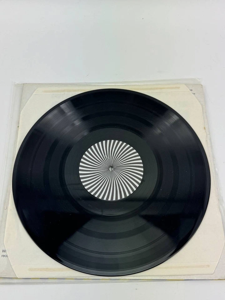 Porcupine Tree Voyage 34 1992 Delerium 12" LP - Image 4 of 4