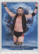 2017 Topps WWE Undisputed NXT Austin Aries #43 0w6