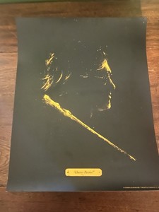 HARRY POTTER 16x20 MOVIE POSTER 38/100 Print  Patrik Svensson Bottleneck Gallery