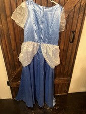 Adult Cinderella Costume