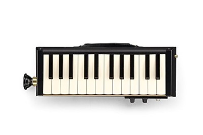 HAMMOND PRO-24B keyboard harmonica acoustic guitar bus model F/S w/Tracking# NEW
