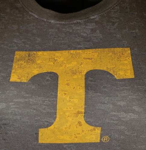 Camiseta Tennessee Volunteers gris descolorida Burnout - mediana para jóvenes - Imagen 4 de 5