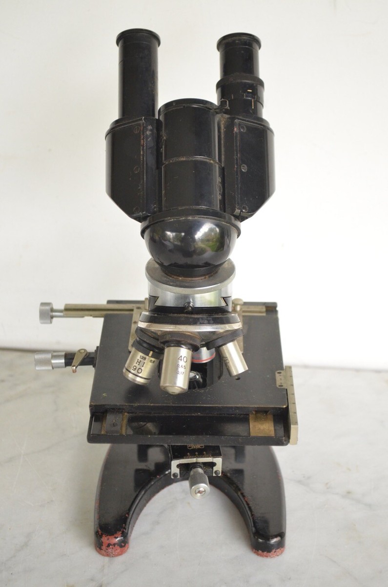 Vintage CARL ZEISS JENA Microscope & 4 Lenses & Original Wood Case