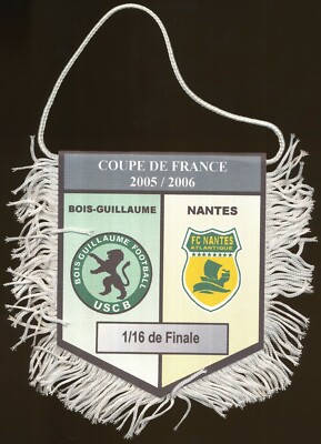 La pelouse de la Beaujoire envahie après la qualification de Nantes pour la finale de la Coupe de France