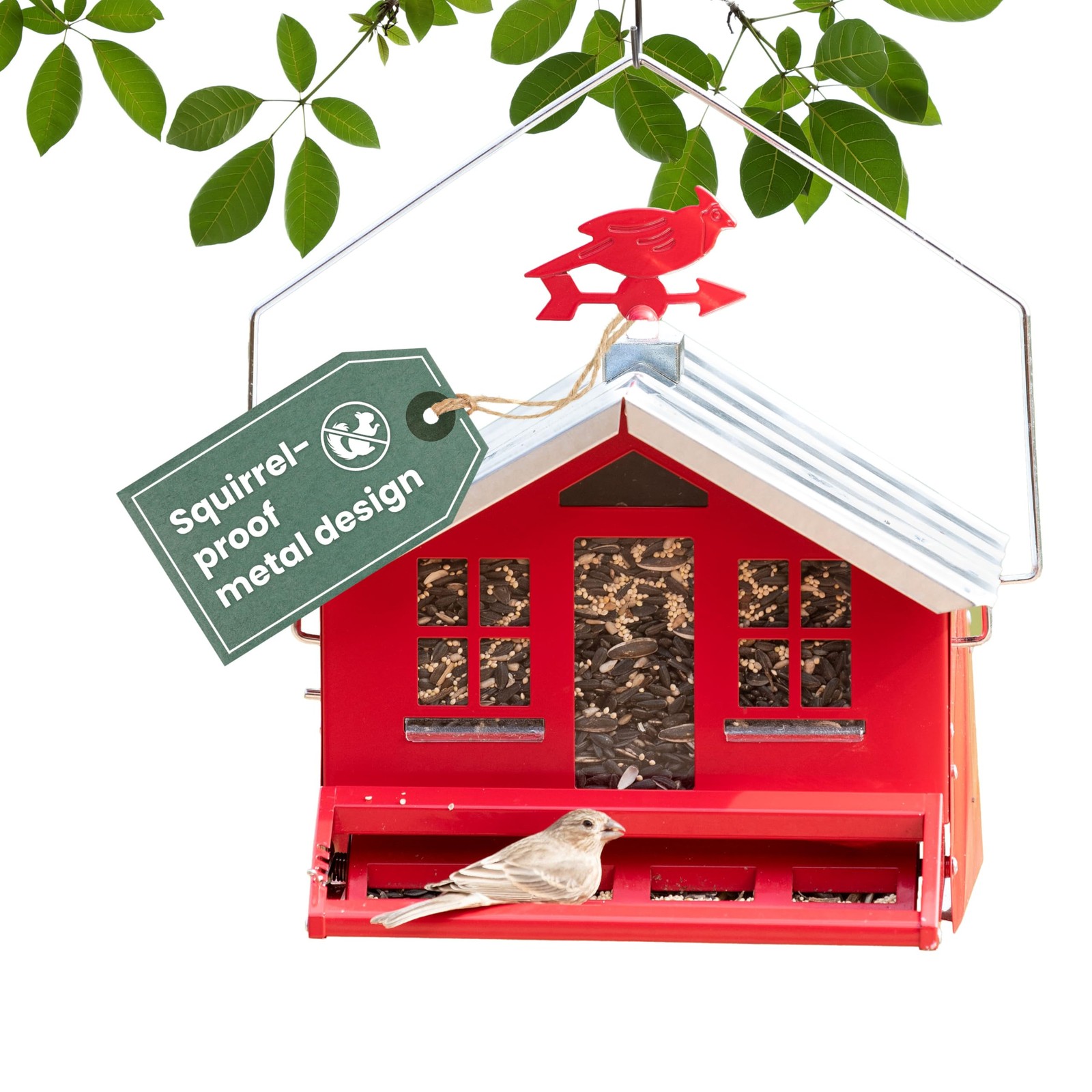 With Weathervane - 8 Lb Seed Ca...