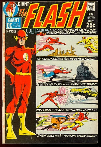 The Flash #205 Nice Bronze Age Giant Superhero Vintage DC Comic 1971 FN