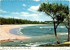 Mouth of the Wailua River, Coco Palms Beach, Island of Kauai, Postcard