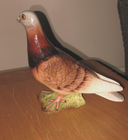 Bild 2 von 3