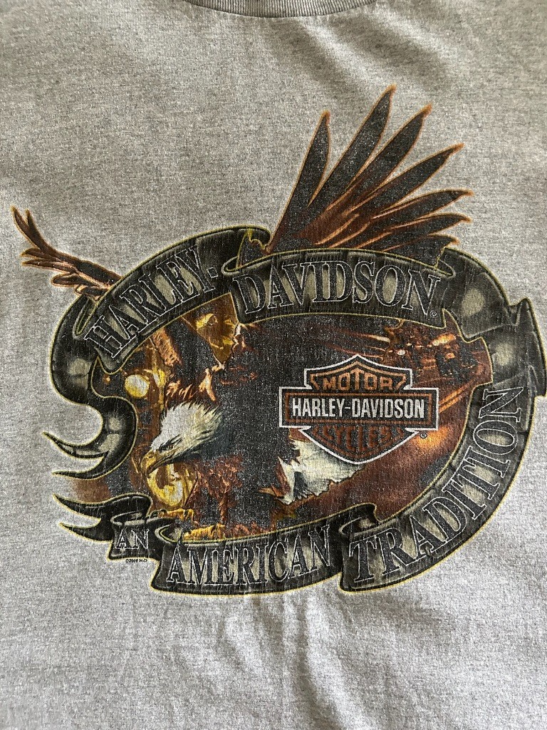 Vintage 2006 Harley Davidson St. Paul Grey Tee Size Large View 2