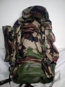sac f2 felin