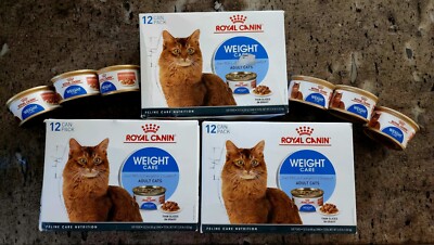 Royal Canin Wet Cat Food