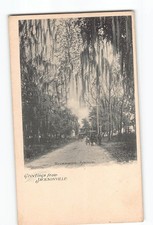 Jacksonville Florida FL Postcard 1901-1907 Riverside Avenue