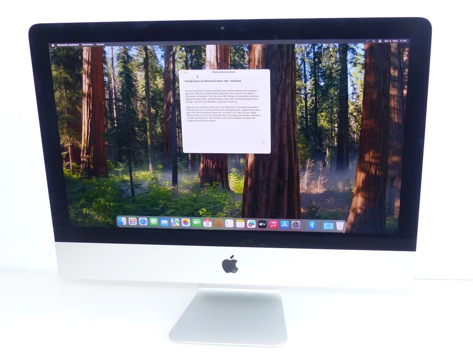 Apple iMac Retina 4K 21,5" 21,5 Zoll 3,0 GHz i5 8GB 1TB 2019 A2116 MWST #12 FA - Bild 2 von 4
