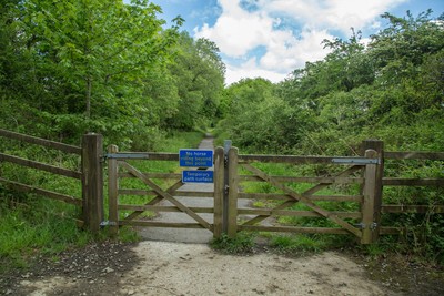 Foto 12x8 Ruby Way Holsworthy An dieser Stelle verengt sich der Weg und Pferd ri c2016