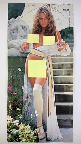 Playboy 1979 Miss May Michele Drake Centerfold Page HH041 | eBay