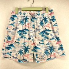 Vintage Summer Lined Swim Trunks Tropical Pattern Mens Size L
