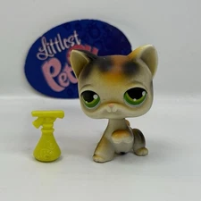SHORTHAIR CAT #27 W/ Accessory - Authentic Littlest Pet Shop - Hasbro LPS