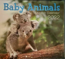  2022 Baby Animals 16 Month Wall Calendar 11" X 20" 