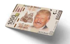 Funny Trump Sticker (2-Pack) | Mexican Peso Parody Credit Card Skin | MAGA 2024