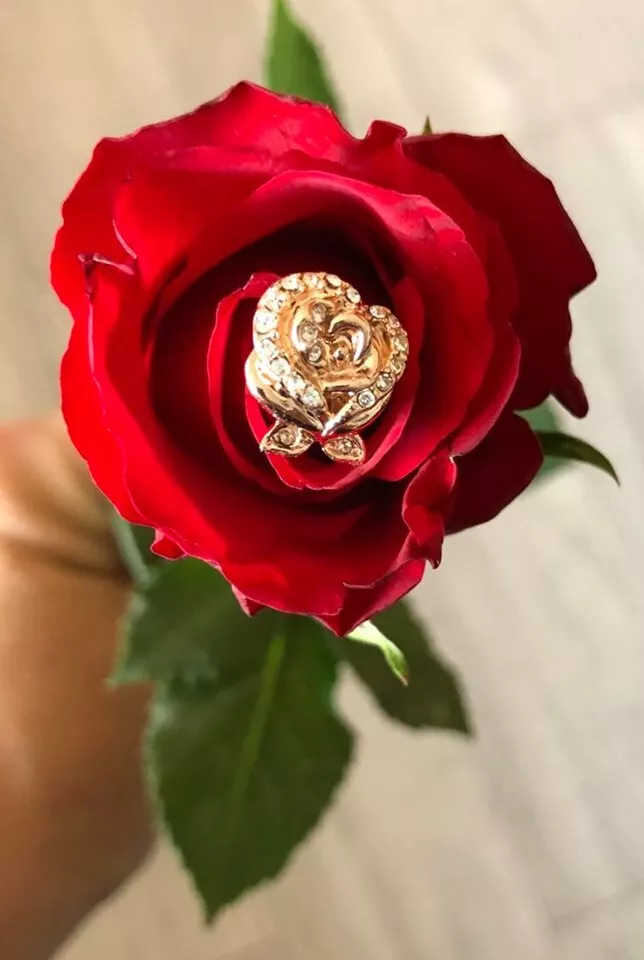 Beauty and the store beast rose earrings