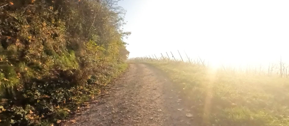 GOPRO HERO 11 Action Kamera WLAN Touchscreen NEU versiegelt EU Versand - Bild 2 von 4