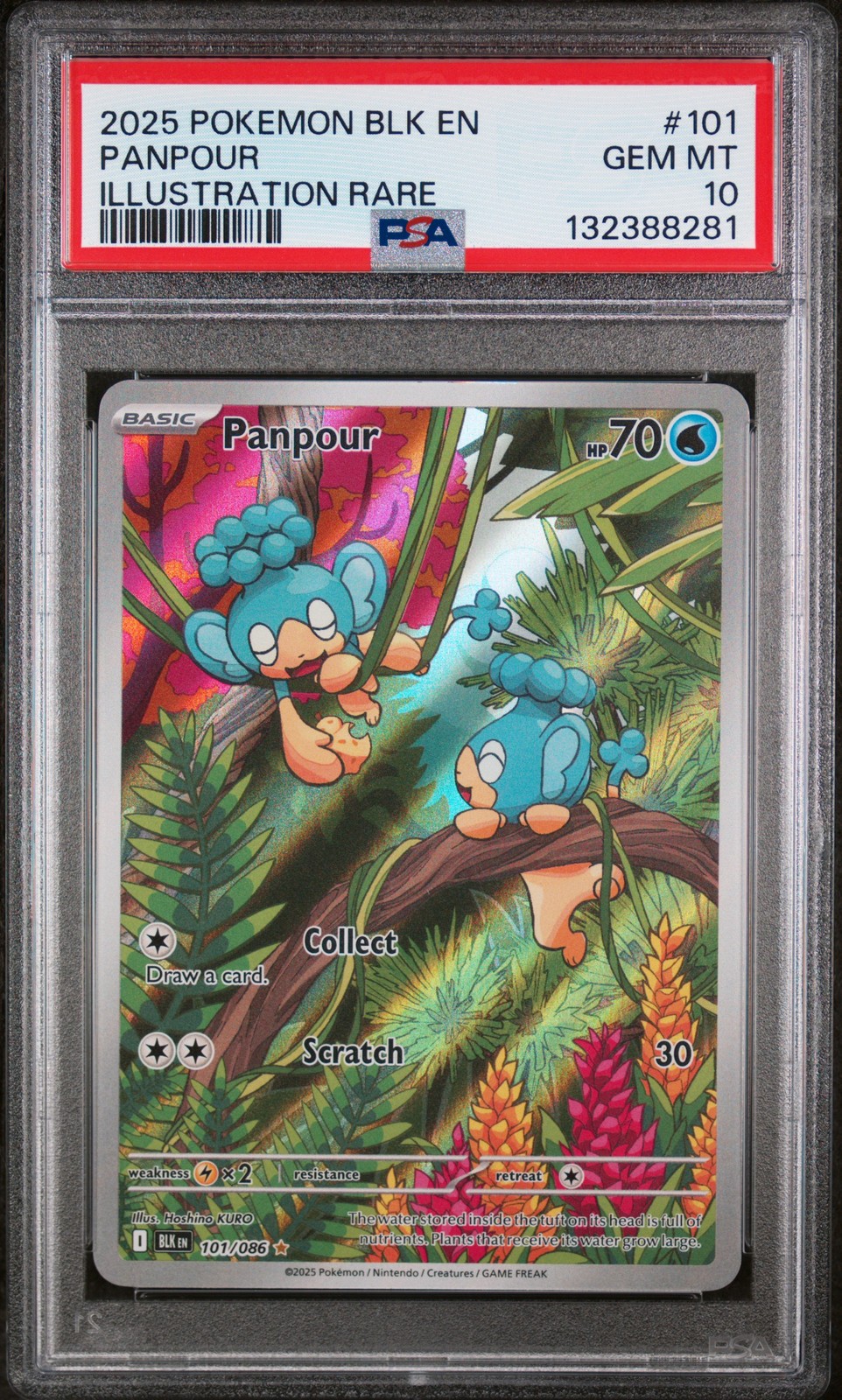 2025 POKEMON BLK EN-BLACK BOLT ILLUSTRATION RARE #101 PANPOUR PSA 10