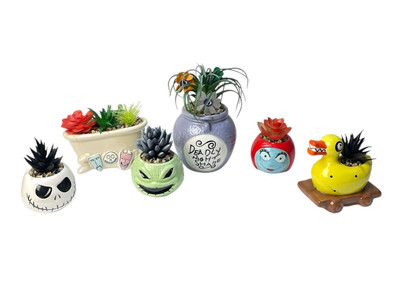 Lot of 6 Disney The Nightmare Before Christmas Succulent Set