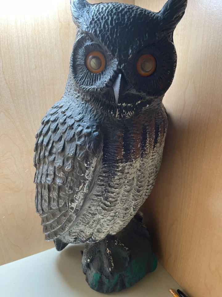 Vintage 21” Horned Owl Decoy for Barn, Dock, Crow Hunting or Garden -made Italy - Image 2 of 4