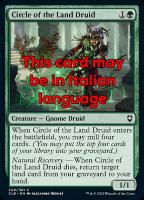 MTG CIRCLE OF THE LAND DRUID FOIL EXC ERD CIRCLE DRUIDE 220 CLB