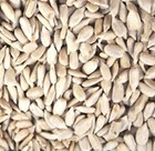 Trusty's Quality Premium Sunflower Hearts Seed Food For Garden Wild Birds 5kg