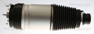 TRISCAN Luftfeder Fahrwerk 8720 81101 für TESLA MODEL 100D AWD 60D 70D 75D P90D