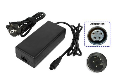 42V 2A SVD 5 pin charger for fitted with Joycube, Phylion 36V Lithium