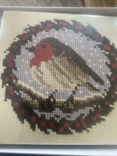 elizabeth bradley needlepoint kit Robin Bird Snow Winter Holiday 10 M 6” Ornamen