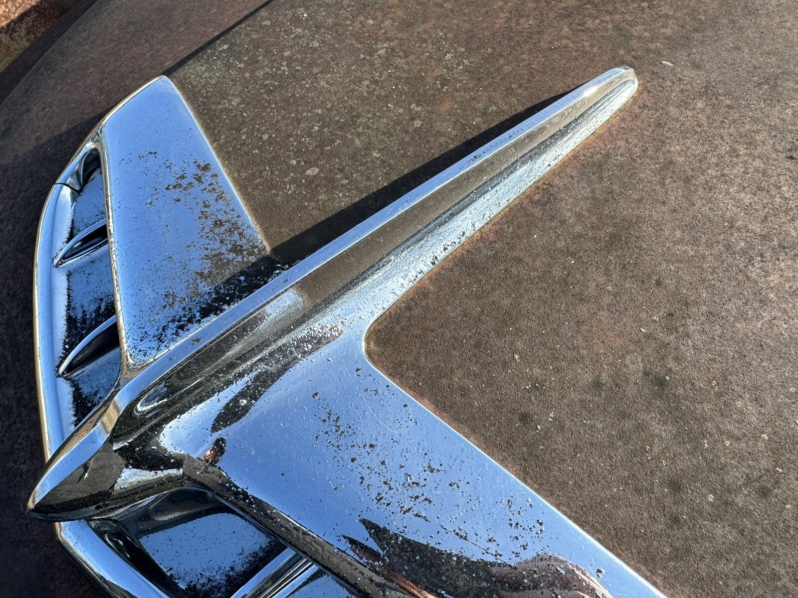 Picture 6 of 6
