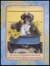 Greeting Card - Dog Puppy - Lisa Jane - Any Occasion 0810