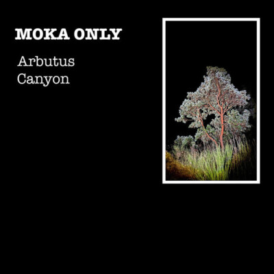 Moka Only - Arbutus Canyon (2024 - US - Original)