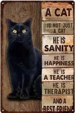 A Cat Is Not Just a Cat Metal Sign 8x12    Best Friend  Family Member Quote