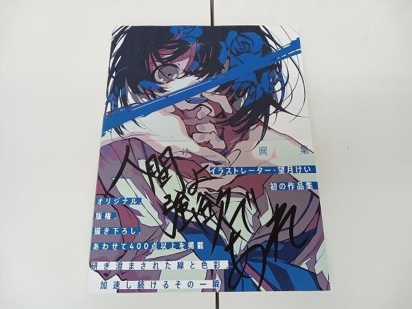 Kei Mochizuki Art Work Book Ningenyo Gouyokudeare Illustrations