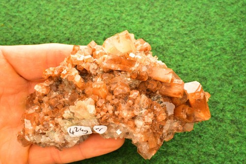 Aragonit Sputnik Kristall✔ Calcit Edelstein Palmstein (12 zur Auswahl) UK kaufen✔ - Bild 60 von 63