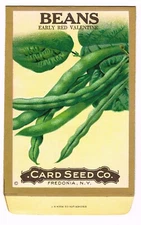 VINTAGE CARD SEED PACKET NEW YORK ANTIQUE C1910 BEANS VALENTINE FOLK ART RARE