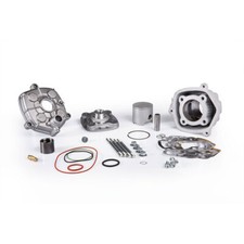 Gruppe Thermisch MALOSSI D 50 77cc Aluminium ...