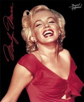 Marilyn Monroe Red Dress Fleece Throw Signature Collection, New, Free Shipping on sale Marilyn Monroe Red Dress Fleece Throw Signature Collection, New, Free Shipping on sale