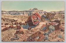 Petrified Forest Arizona Petrified Wood Scenic Landscape Linen Postcard