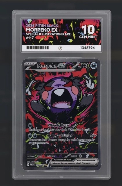 Morpeko ex #117 (Pitch Black)