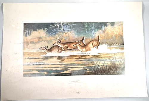 Vintage Breweriana, Genesee Brewing company "Taking the Fast Route" Print.